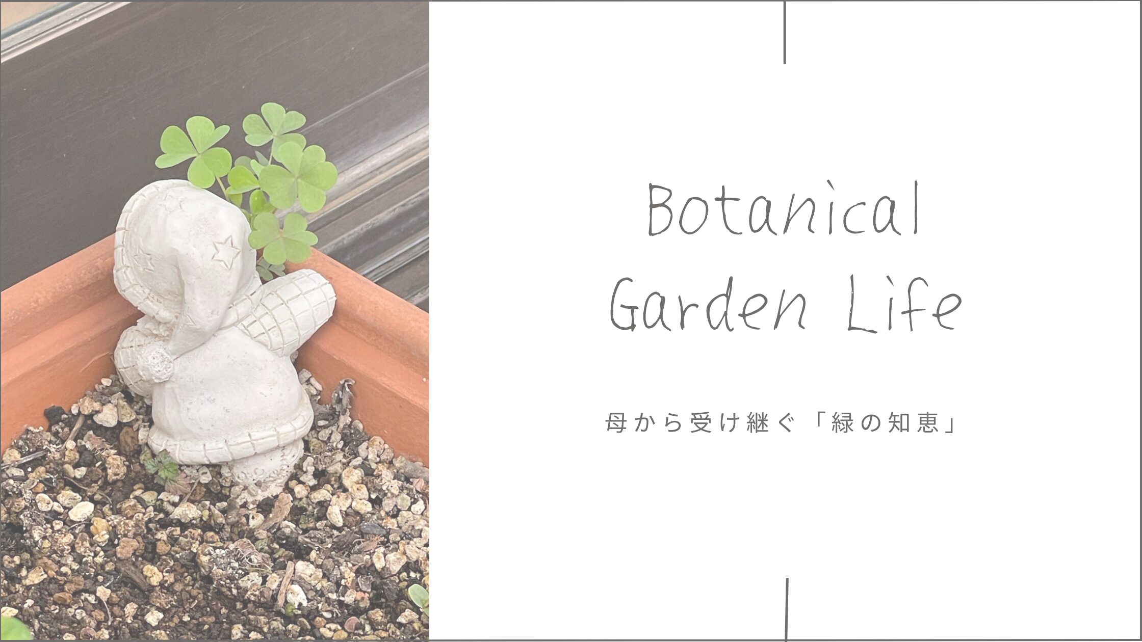 植物のある暮らし ┃ 母と娘の植物成長記録ブログスタートのアイキャッチ画像｜2025年2月25日 母から受け継ぐ緑の知恵袋