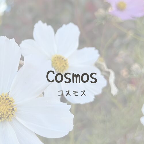 Cosmos