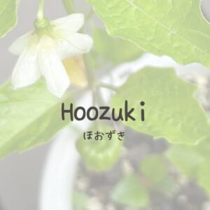 カテゴリーリンク画像