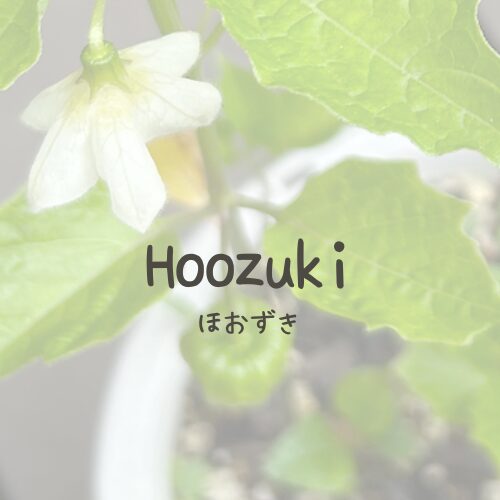 Hoozuki
