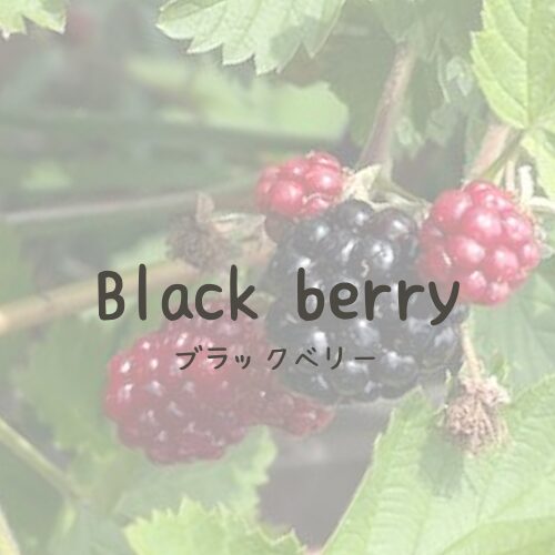 blackberry