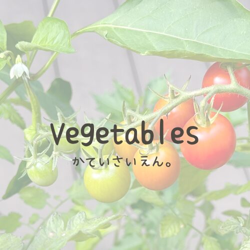 Vegetable