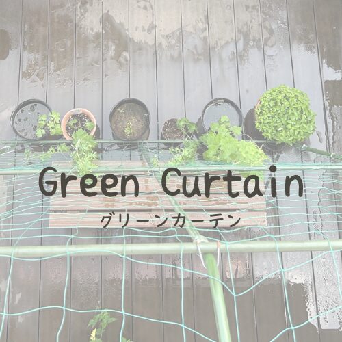 Green Curtain