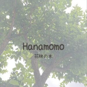 カテゴリーリンク画像