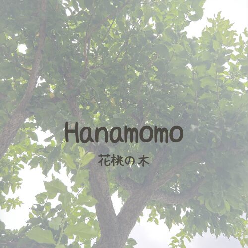Hanamomo