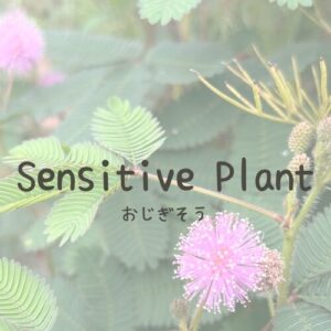 カテゴリーリンク画像