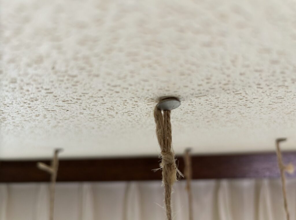 苔玉の胡蝶蘭をぶら下げている天井の様子