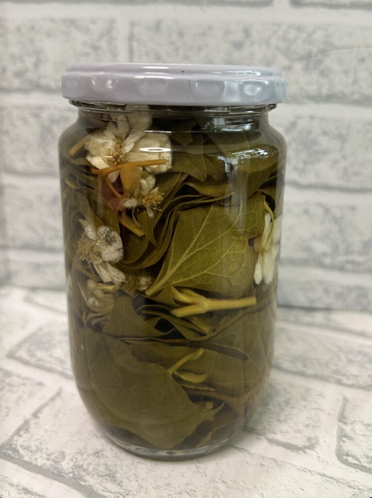 ドクダミのお花と葉っぱをウォッカに浸けている