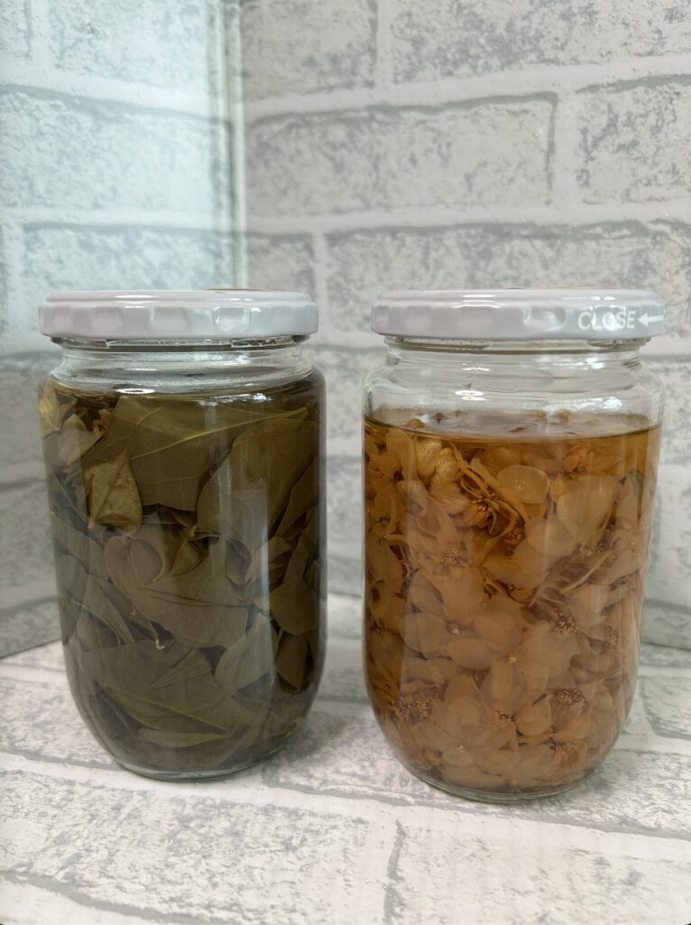 ドクダミのお花と葉っぱをリカーに浸けている