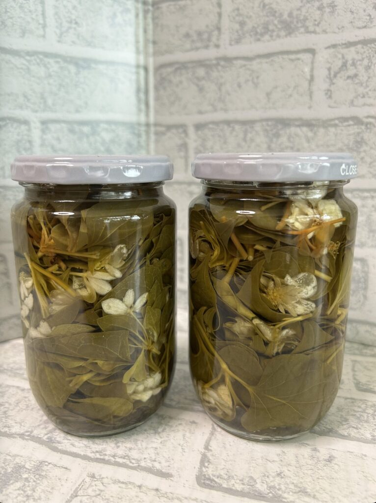 ドクダミのお花と葉っぱをウォッカに浸けている