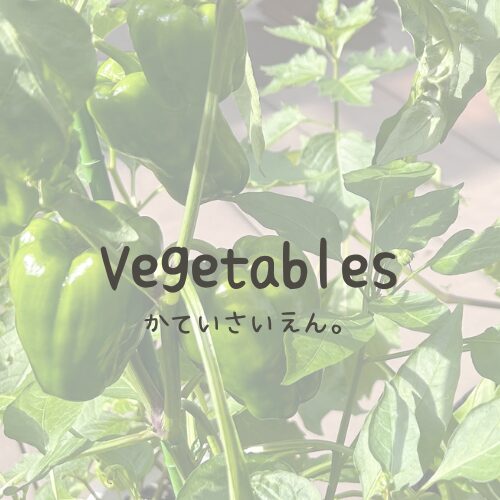 Vegetable