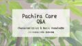 パキラ育成Q&A┃パキラの特徴・基礎知識