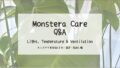 モンステラ育成Q&A┃光・温度・風通し