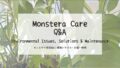 モンステラ育成Q&A┃環境トラブル・対策・処理