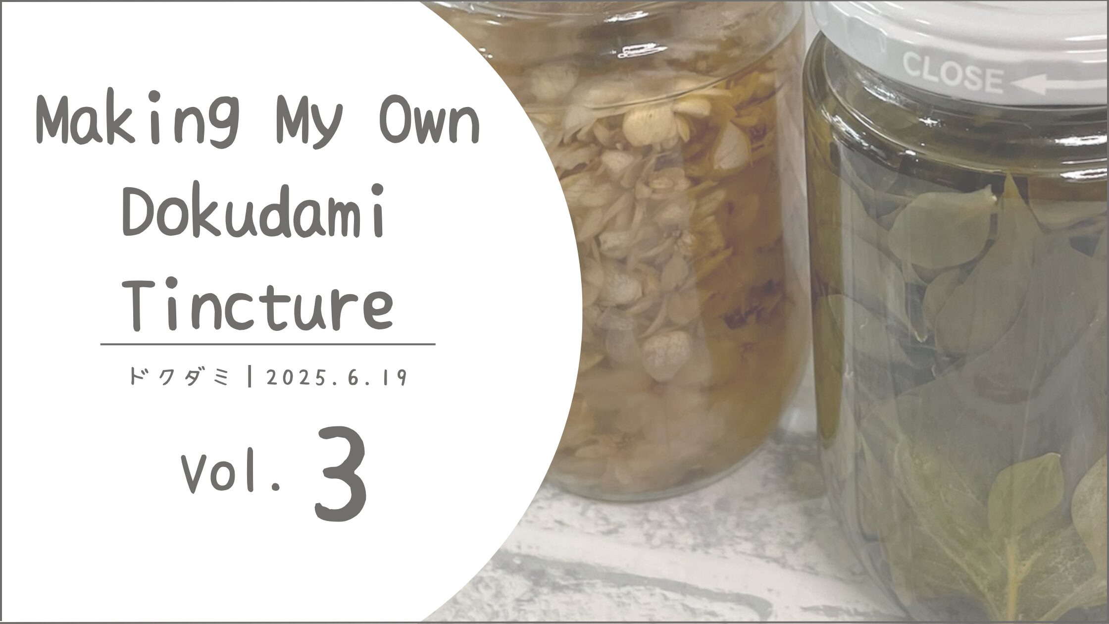 ドクダミ育成記録アイキャッチ画像