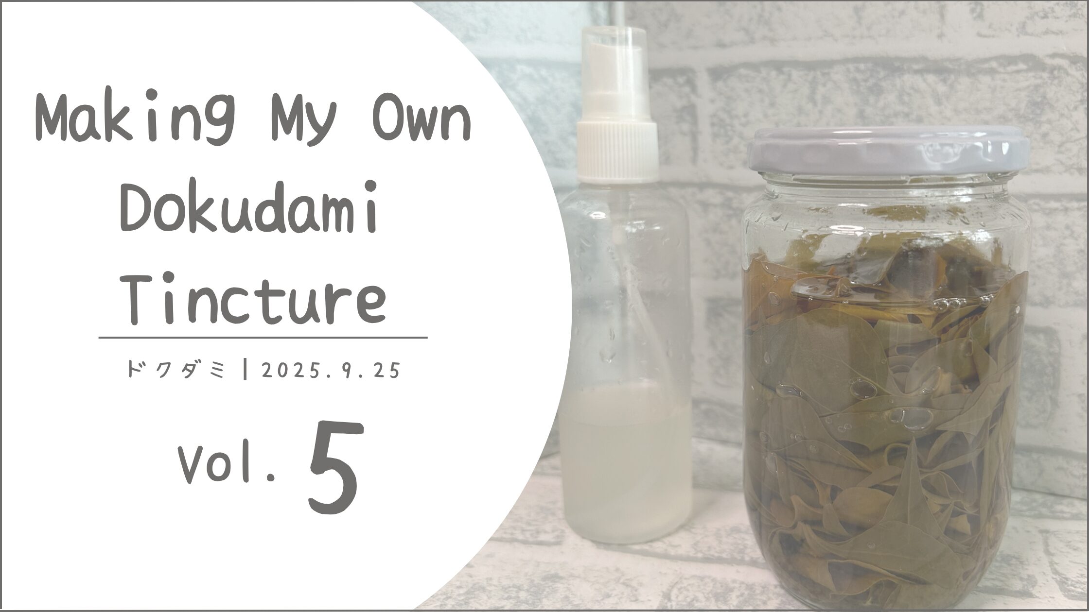 ドクダミチンキ記録アイキャッチ画像