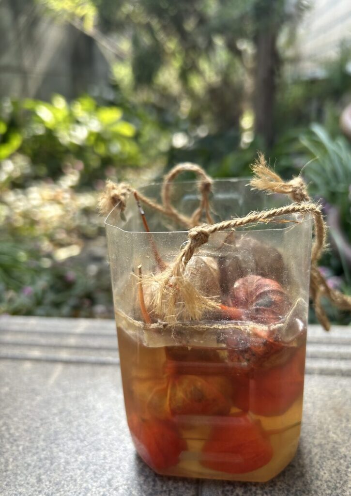 ほおずき|水につけた“透かし”づくりの途中の実