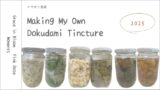 ドクダミチンキ作り記録2025┃そばにあった植物の記録