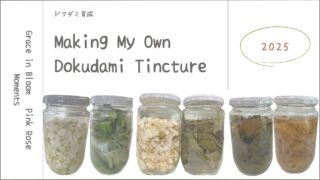 ドクダミチンキ作り記録2025┃そばにあった植物の記録