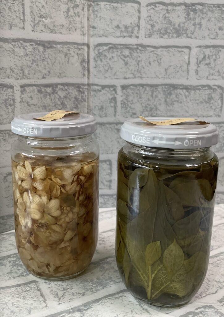 ドクダミ｜リカーに漬けた葉っぱとお花