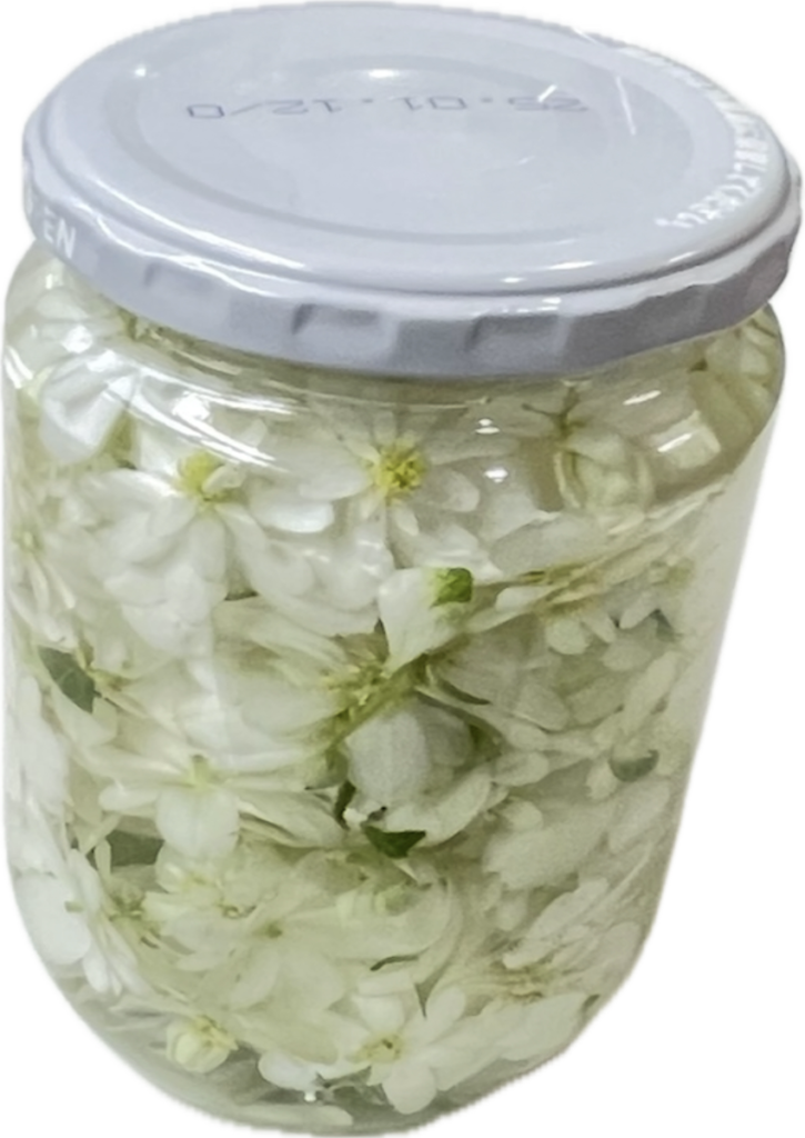 ドクダミ｜リカーに漬けたお花