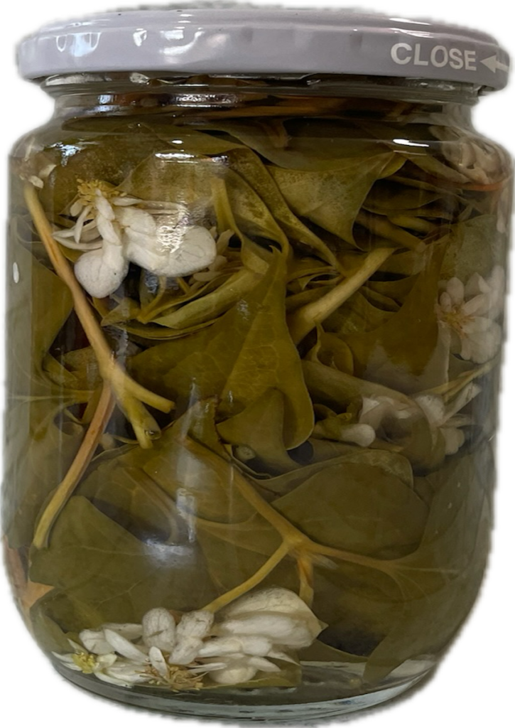 ドクダミ｜ウォッカに漬けた葉っぱとお花