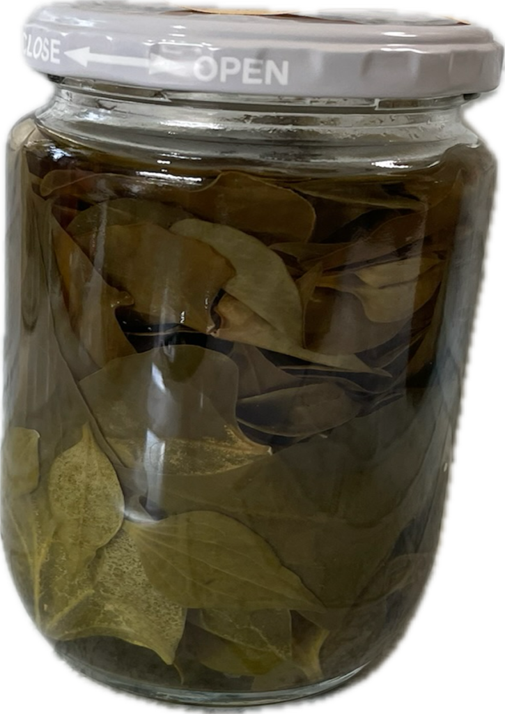 ドクダミ｜リカーに漬けた葉っぱ