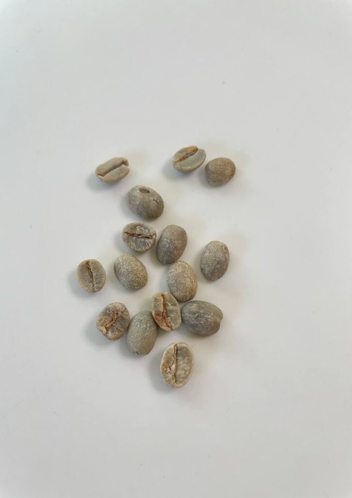 珈琲豆｜焙煎前(生豆)