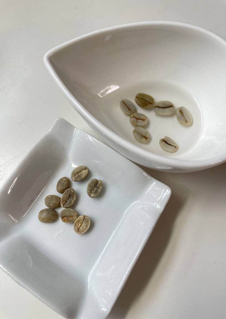 珈琲豆｜水につけてふやかしている様子
