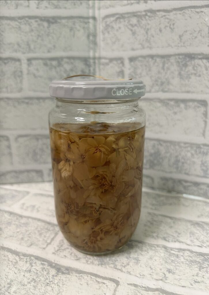 ドクダミ｜チンキ作り。お花リカーにつけてから約３ヶ月が経過した様子