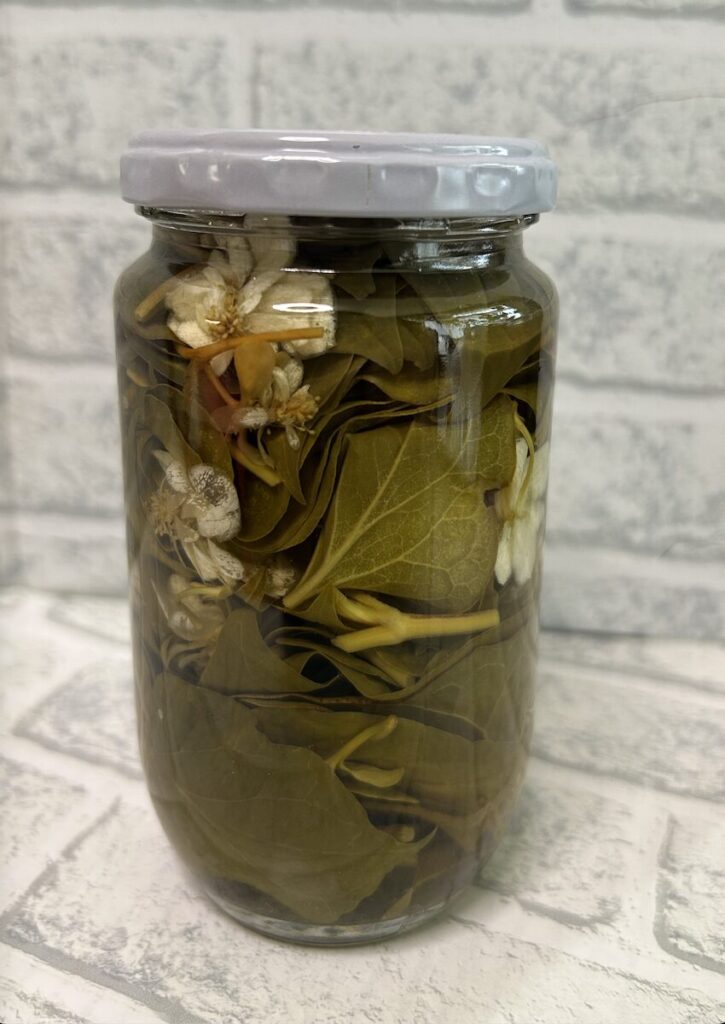 ドクダミ｜チンキ作り。お花と葉っぱをウォッカに浸けている様子