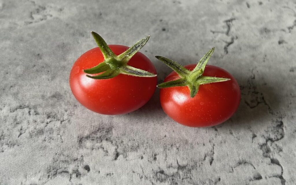 ミニトマト｜赤く色づいた実を収穫
