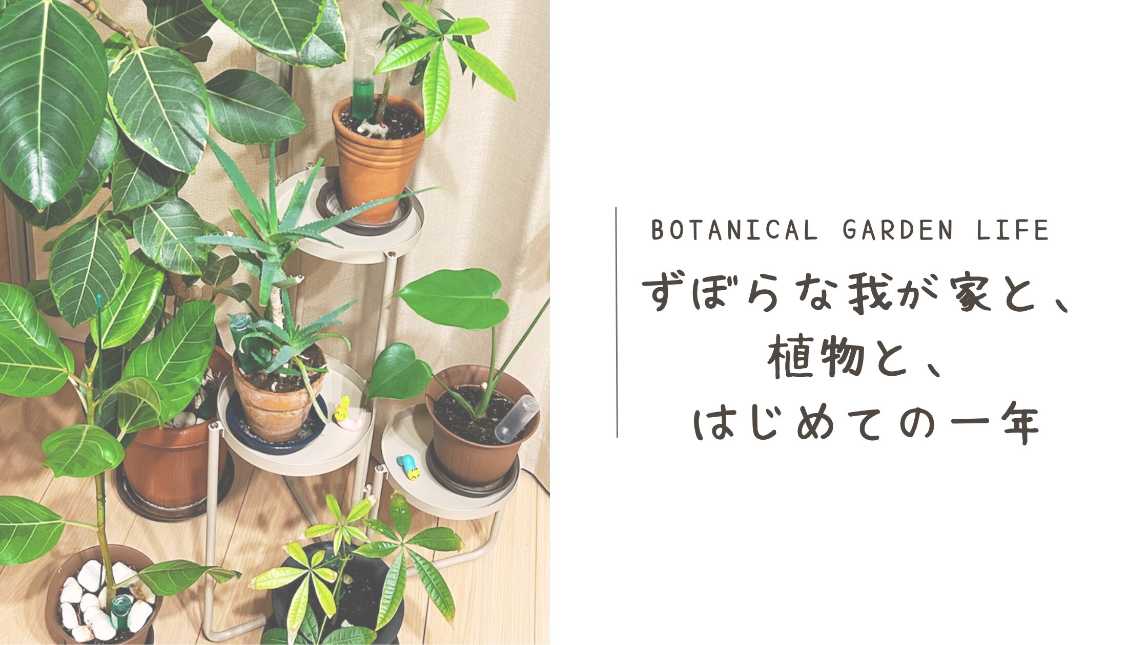 １周年アイキャッチ画像